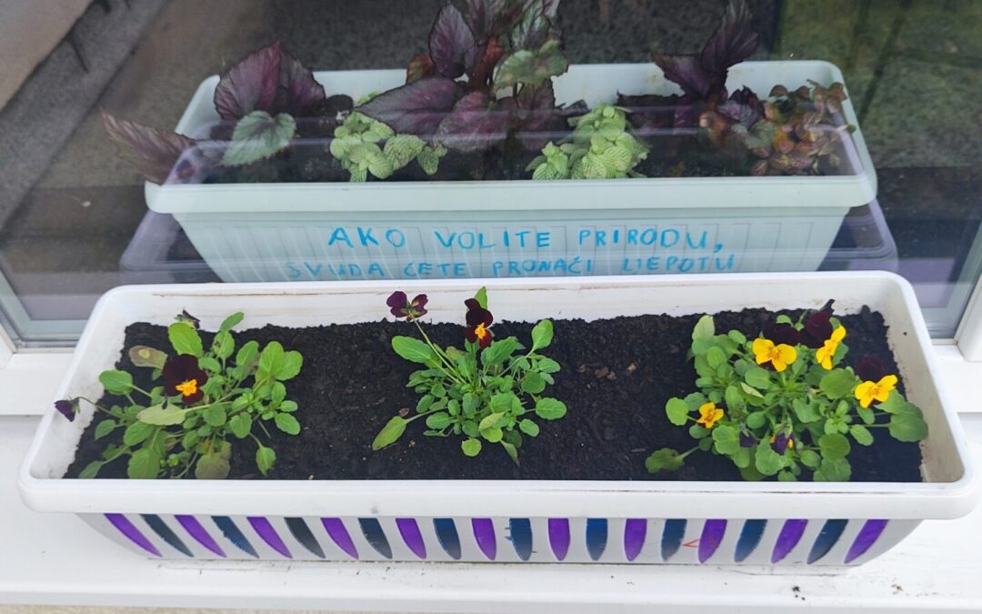 Vrijedna Eko skupina