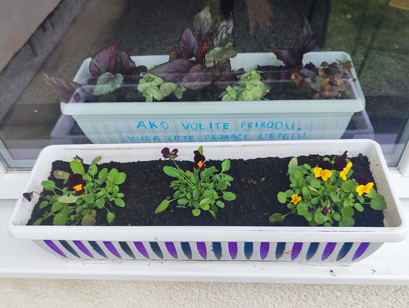 575118706_1361420255772087_6024057272657401763_n