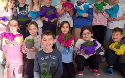 Božićne pripreme u 3. razredu