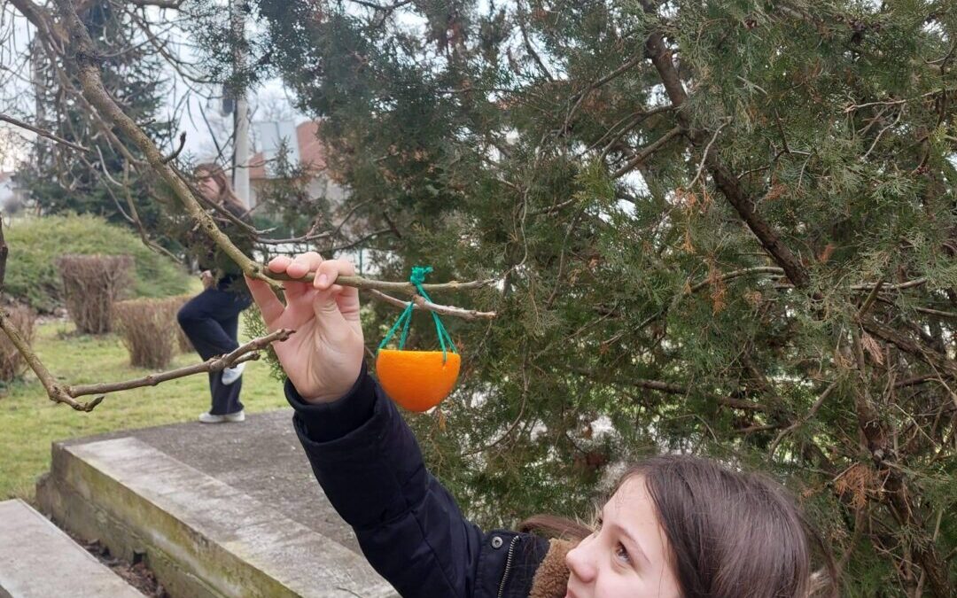 Eko-hranilice za ptice