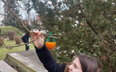 Eko-hranilice za ptice