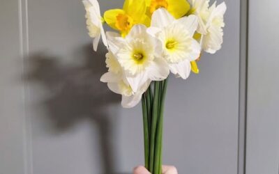 Za oboljele od raka dojke